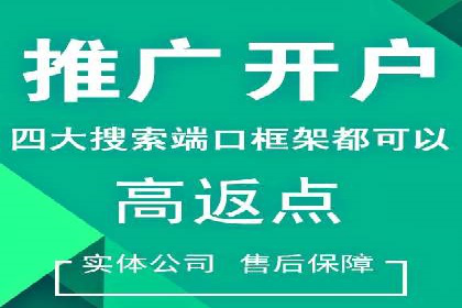 SEM服务公司成功案例解读